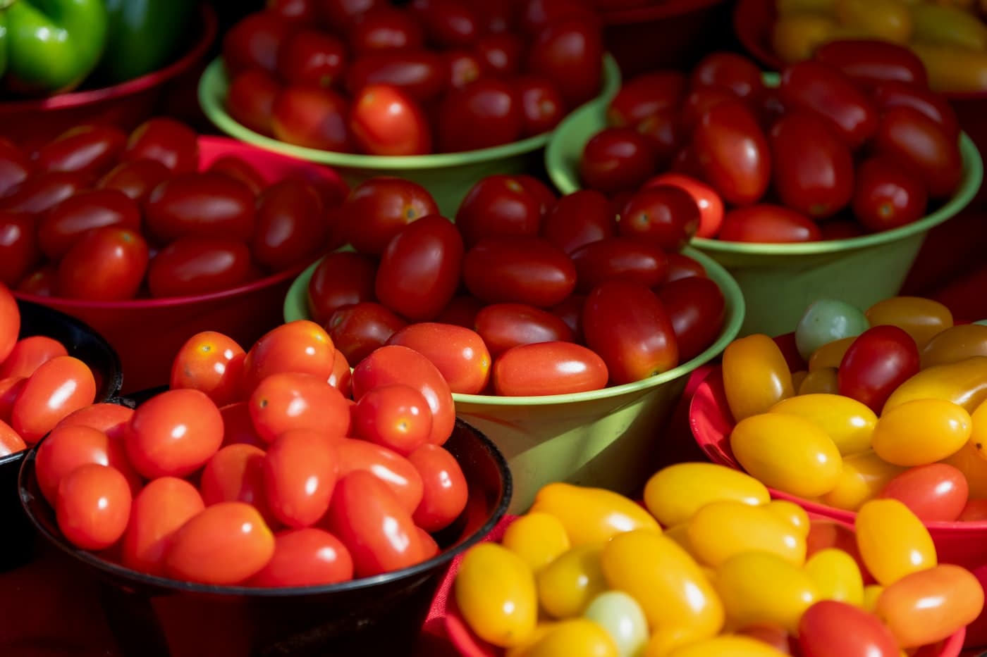Bowls of tomatoes and peppers