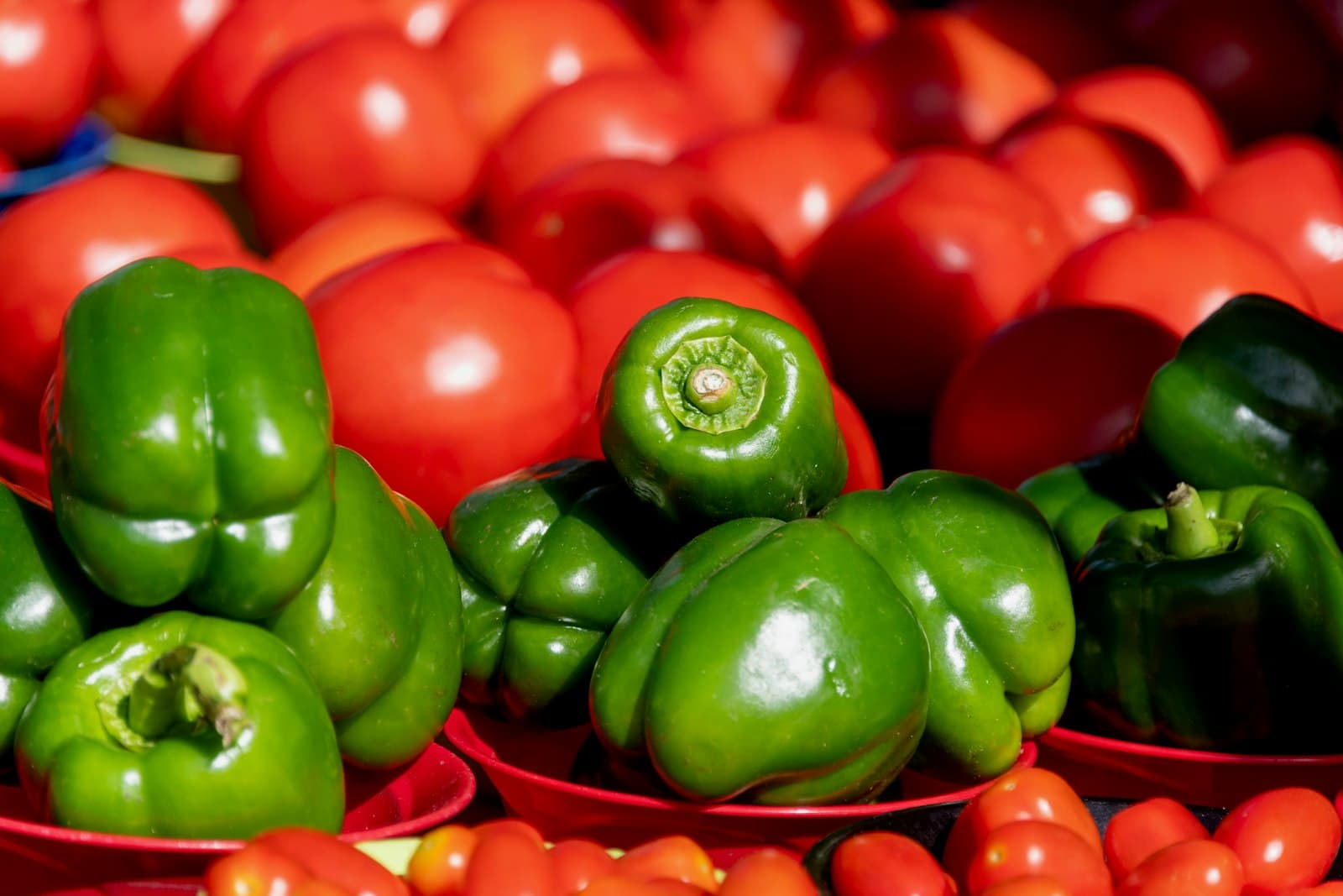 Red and green peppers piled with tomatoes