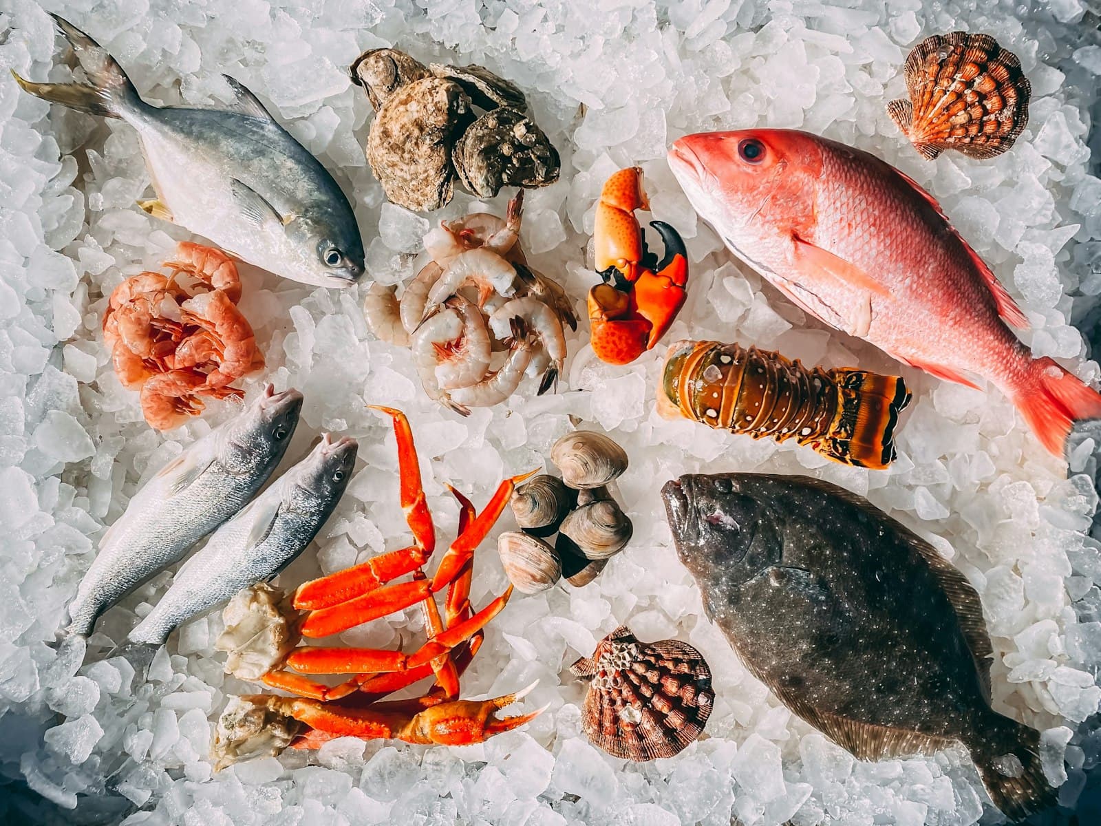 Fresh seafood laid out on crushed ice